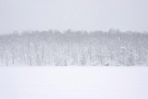 Blizzard of 2010, Upland Pond, Sparta Mountains, Sussex County, NJ Feb 10 BW (0383SA).jpg Blizzard of 2010, Upland Pond, Sparta Mountains, Sussex County, NJ Feb 10 BW (0383SA).jpg